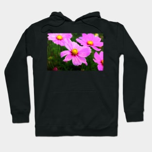 Summery Pink Cosmos Hoodie